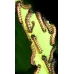 Gynansia maia Africa 15 eggs or 10 larvae according to availability.